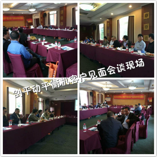 劍平動平衡機會談現場