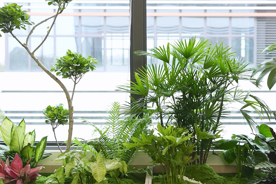 辦公室環(huán)境